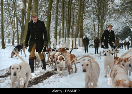 Il Beaufort Hunt che esercitano i loro cani nel Parco di Badminton esse erano in grado di cacciare a causa della neve - Huntsman camminando con Foto Stock
