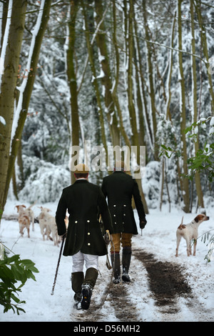 Il Beaufort Hunt che esercitano i loro cani nel Parco di Badminton esse erano in grado di cacciare a causa della neve - Huntsman camminando con Foto Stock
