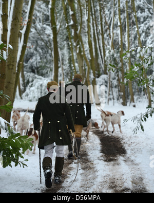 Il Beaufort Hunt che esercitano i loro cani nel Parco di Badminton esse erano in grado di cacciare a causa della neve - Huntsman camminando con Foto Stock
