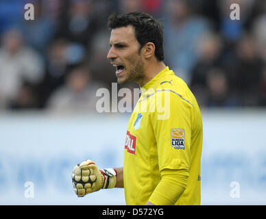 Hoffenheim il portiere Daniel Haas mostrato durante il match della Bundesliga 1899 TSG Hoffenheim vs 1. FC Colonia a Rhein-Neckar-stadium di Sinsheim, Germania, 10 aprile 2010. Colonia Hoffenheim sconfitto 2-0. Foto: Ronald Wittek Foto Stock