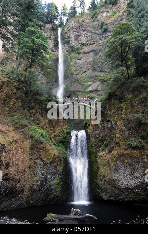 Cascate Multnomah 620 piedi di altezza Columbia River Gorge Multnomah County Oregon, STATI UNITI D'AMERICA, Foto Stock