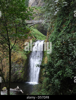 Cascate Multnomah cascata Columbia River Gorge Oregon, cascate Multnomah, storico Columbia River, Foto Stock