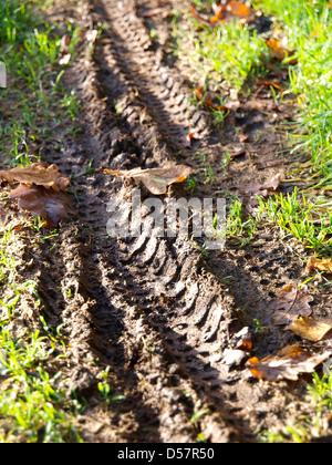 Le tracce nel fango dettaglio Foto Stock