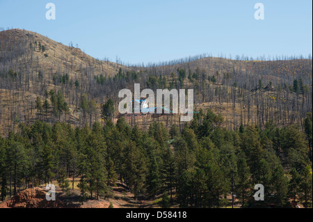 La bruciatura di pini su montagne sullo sfondo spiccano in un paesaggio devastato dall'Hayman Fire in Colorado. Foto Stock