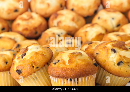 Muffin con scaglie di cioccolato Foto Stock