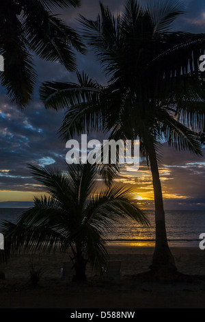 Tramonto sulle palme in Nosy Be Island, Madagascar settentrionale Foto Stock