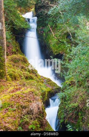 La foto è stata scattata in Irlanda, Europa Foto Stock