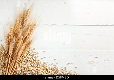 Spighe di grano con chicchi di grano bianco contro uno sfondo di legno Foto Stock