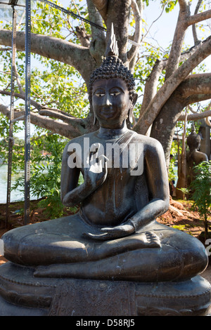 Statua di Buddha meditando sotto un albero nel tempio di Gangaramaya in Colombo, Sri Lanka Foto Stock