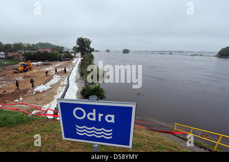 Soldati polacchi rafforzare la banca di fiume al confine fra Germania e Polonia fiume Oder in Krainik Dolny, Polonia, 01 giugno 2010. Dopo il picco del livello di acqua è passata Francoforte sull'Oder e Slubice, il livello dell'acqua continua a salire a nord Oder. Foto: BERND SETTNIK Foto Stock