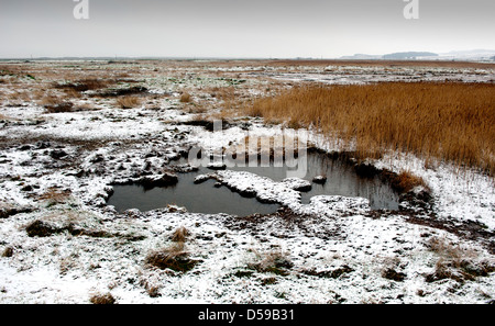 Cley accanto al mare, Norfolk, Inghilterra. Marzo 2013 Cley paludi e Canneti coperto di neve. Foto Stock