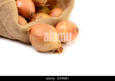 Cipolle fresche in un sacchetto Foto Stock