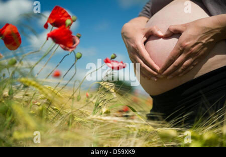 Una donna molto avanzata in pregancy pone in un campo di papavero durante un servizio fotografico nei pressi di Franbkfurt Oder, Germania, 22 giugno 2010. Foto: Patrick Pleul (modello di rilascio) Foto Stock