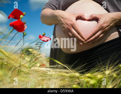 Una donna molto avanzata in pregancy pone in un campo di papavero durante un servizio fotografico nei pressi di Franbkfurt Oder, Germania, 22 giugno 2010. Foto: Patrick Pleul (modello di rilascio) Foto Stock