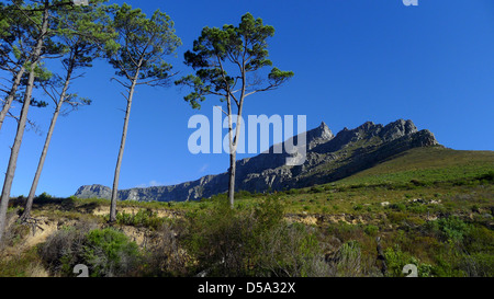La Table Mountain e Cape Town, Sud Africa Foto Stock