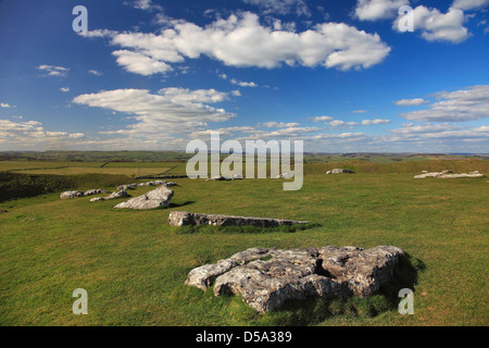 Estate, Arbor bassa Henge Stone Circle, nei pressi del villaggio di Monyash nel Parco Nazionale di Peak District, Derbyshire, England, Regno Unito Foto Stock