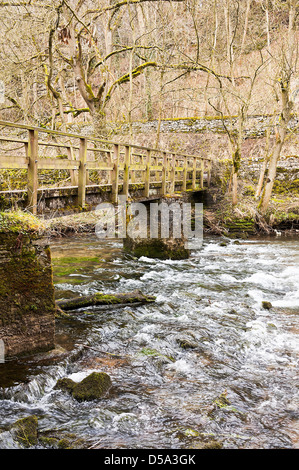 Ponte pedonale oltre il fiume Wye vicino Millers Dale Tideswell Derbyshire Peak District Inghilterra Regno Unito Regno Unito Foto Stock