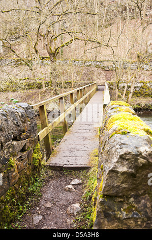 Ponte pedonale oltre il fiume Wye vicino Millers Dale Tideswell Derbyshire Peak District Inghilterra Regno Unito Regno Unito Foto Stock