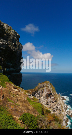 A Cape Point e Penisola del Capo, in sud africa Foto Stock