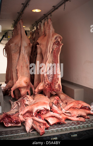 Carcasse di suino appeso nella consegna di Macellai van Foto Stock