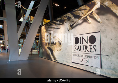 Esposizione di dinosauri dal deserto dei Gobi in Mongolia. Cosmocaixa Museum, Barcelona, Spagna Foto Stock