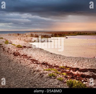 Il paesaggio costiero di una piccola isola nel mar Baltico Foto Stock