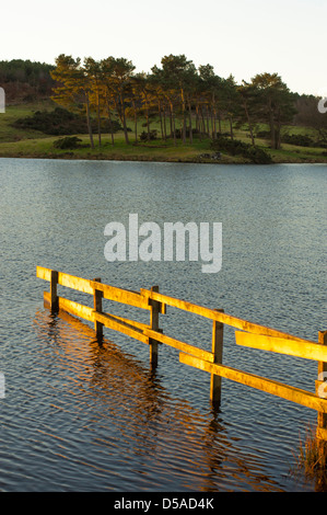 Il Knapps Loch vicino Kilmacolm Renfrewshire Scozia all'alba, con la luce del sole che colpisce una recinzione e alberi. Foto Stock