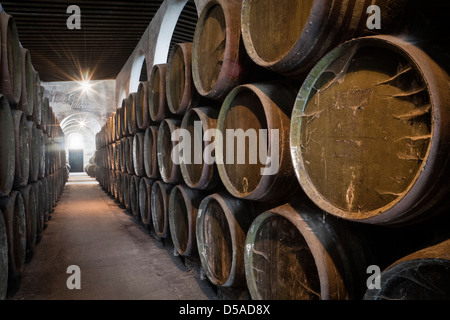 SANLUCAR DE BARRAMEDA, CADIZ, Bodegas, CANTINA Foto Stock