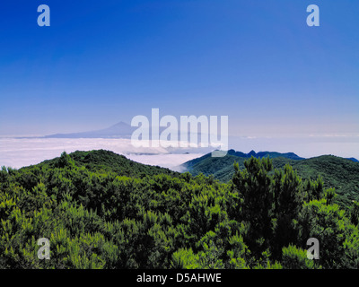 Vista dall'Alto de Garajonay, La Gomera, isole Canarie, Spagna Foto Stock