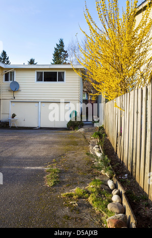 Foto verticale di vecchi casa residenziale, in primavera, con un lungo viale che conduce a due garage auto Foto Stock