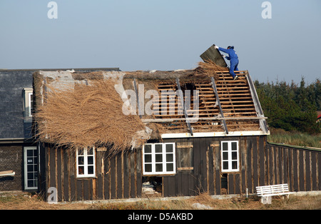 Blavand, Danimarca, una casa di paglia in Blaavand essendo ristrutturato Foto Stock