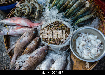 Il pesce per la vendita al mercato Foto Stock