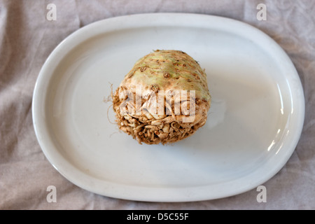 Bulbo di sedano rapa Foto Stock