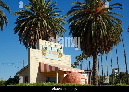 California Citrus stato storico ingresso parco in Riverside California. Foto Stock