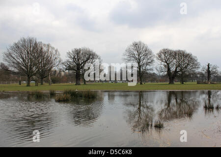 Il Parco di Richmond, Inghilterra, Regno Unito. 28 marzo, 2013. Alberi antichi e moderni blocchi a torre del Alton station wagon, vengono riflesse nello stagno che ha formato nel punto in cui la pioggia infinita ha allagato campi nei pressi Roehampton cancello in Richmond Park. Il più grande dei parchi reali, è una riserva naturale nazionale, London il più grande sito di particolare interesse scientifico e un europeo zona speciale di conservazione. Foto Stock