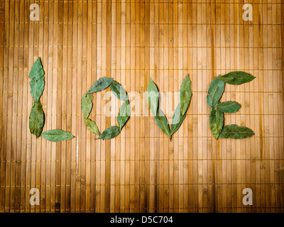 La parola amore scritta con foglie su sfondo di bambù Foto Stock