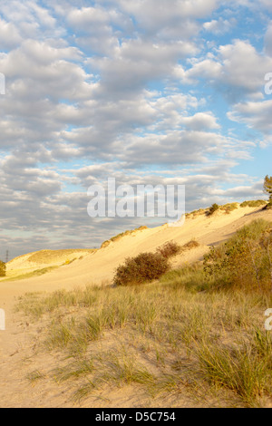 Il Monte Baldy DUNE INDIANA Dunes National Lakeshore PORTER sul lago Michigan INDIANA USA Foto Stock