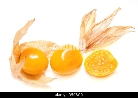 Gruppo Physalis closeup isolati su sfondo bianco. Foto Stock