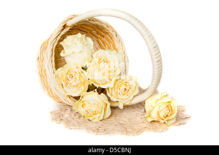 White Rose essiccato in cesto con maglia centrino isolati su sfondo bianco. Foto Stock