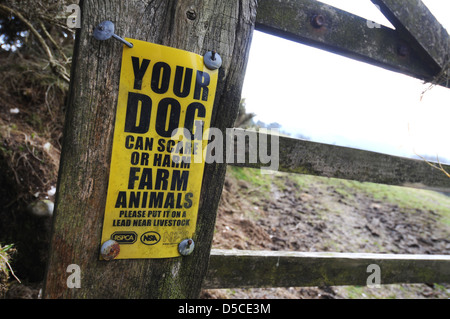 Il vostro cane può spaventare o danneggiare gli animali della fattoria cartello segnaletico, REGNO UNITO Foto Stock
