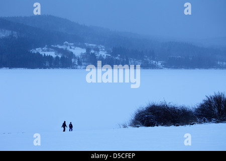 Labbra, Repubblica Ceca, di Lipno nella foresta Boema Foto Stock