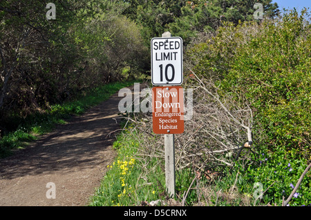 Il limite massimo di velocità specie in via di estinzione segni, pacifica, CALIFORNIA, STATI UNITI D'AMERICA Foto Stock
