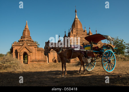 Carro trainato da cavalli a un tempio di Bagan. Foto Stock