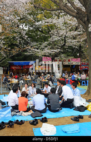 Tokyo, Giappone. Il 29 marzo 2013. Il popolo giapponese godendo la molla di fiori di ciliegio in tempo Kudanshita a Tokyo in Giappone. Questo anno gli alberi erano fioritura prima del solito ma che non ha fermato le persone che si godono il tradizionale picnic e mangiare fuori sotto i fiori. Paul Brown / Alamy Live News Foto Stock