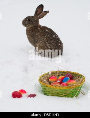 Illustrazione - un'immagine illustrata mostra un salto di coniglio attraverso la neve accanto a un cesto pieno di colorate uova di Pasqua in Sieversdorf, Germania, 29 marzo 2013. Foto: Patrick Pleul Foto Stock