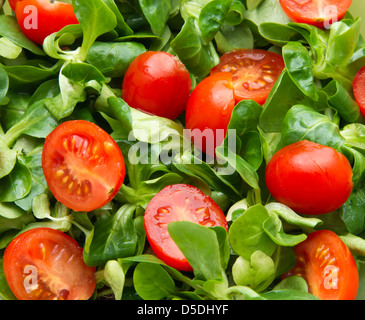 Pomodori ciliegia e insalata di mais come sfondo Foto Stock