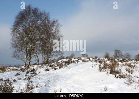 Paesaggio inglese nella neve, Bickerton nel Cheshire. Foto Stock