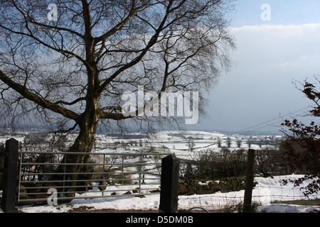 Paesaggio inglese nella neve, Bickerton nel Cheshire. Foto Stock