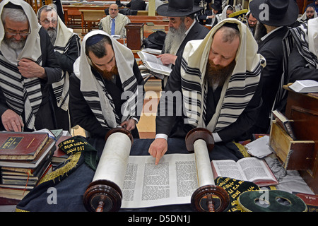 Lettura da un rotolo di Torah alla mattina dei giorni feriali servizi in sede Lubavitch in Crown Heights, Brooklyn, New York. Foto Stock