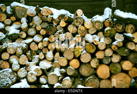 Log In SNOW WOODPILE Foto Stock